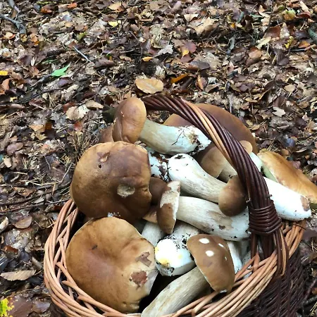 Lägenhet Anna Rycerska *